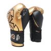 Găng Tay Rival RS11V-Evolution Sparring Gloves - Gold