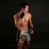 Quần TUFF Muay Thai Boxing Shorts New Retro Style Grey Hanuman Yantra with War Flag