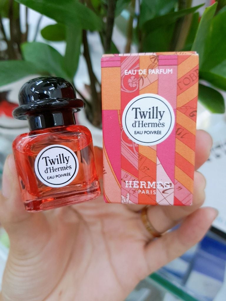 mini twilly hermes