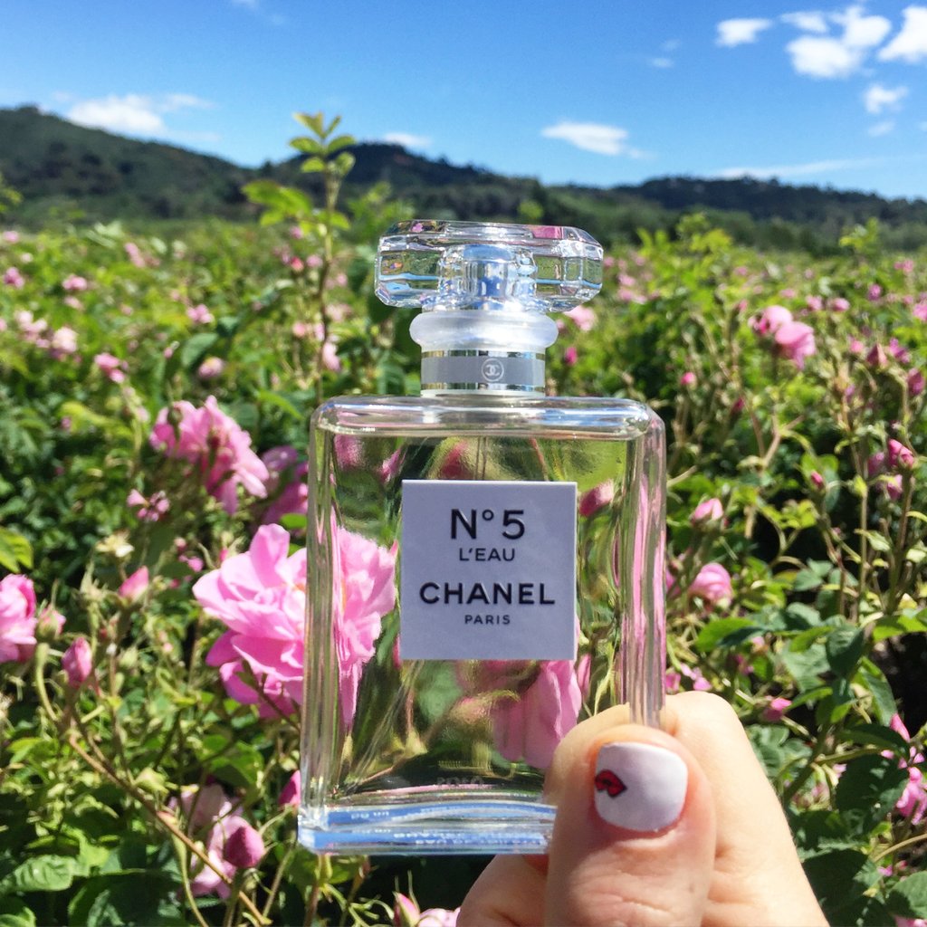 Nước Hoa Chanel N5 L'eau EDT Chính Hãng Pháp 100% – Thế Giới Son Môi Nước Hoa Chanel N5 L'eau EDT Chính Hãng Pháp 100% – Thế Giới Son Môi