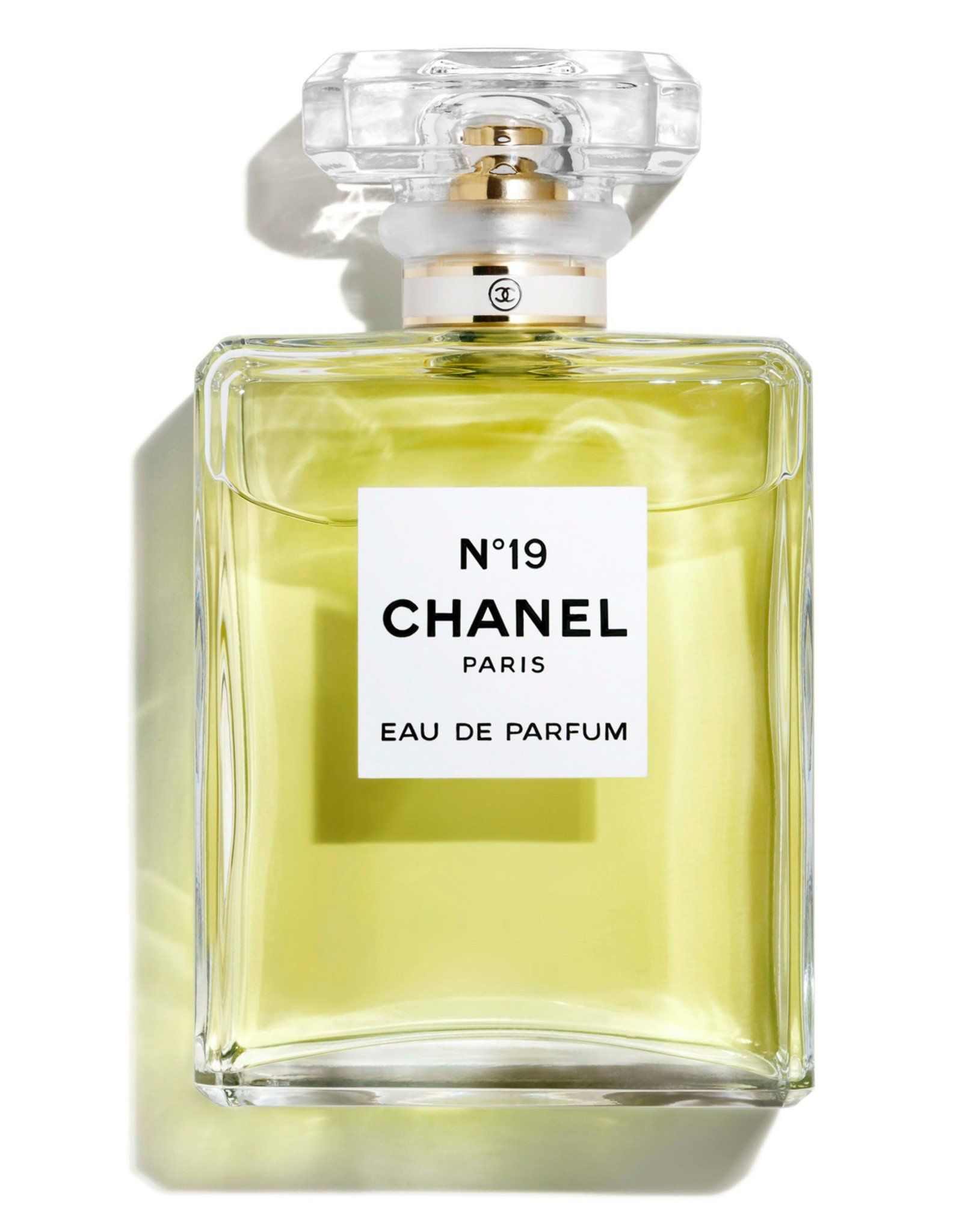 Nước Hoa Nữ Chanel No. 19 Poudre EDP 100ML – Thế Giới Son Môi