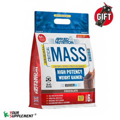 ORIGINAL FORMULA - CRITICAL MASS 6KG (25 SERVINGS)