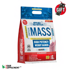 ORIGINAL FORMULA - CRITICAL MASS 6KG (25 SERVINGS)