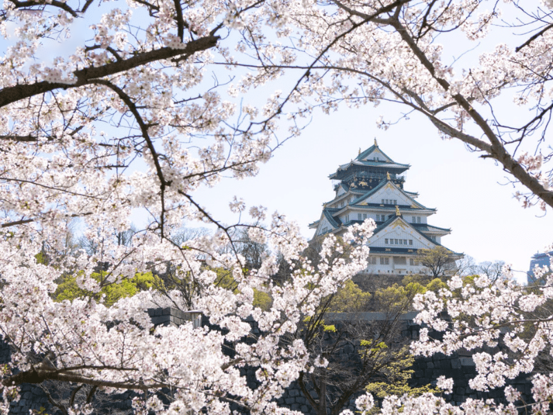 Tour du lịch Nhật Bản 2023 – Osaka – Kyoto – Yamanashi – Tokyo (5N5Đ)