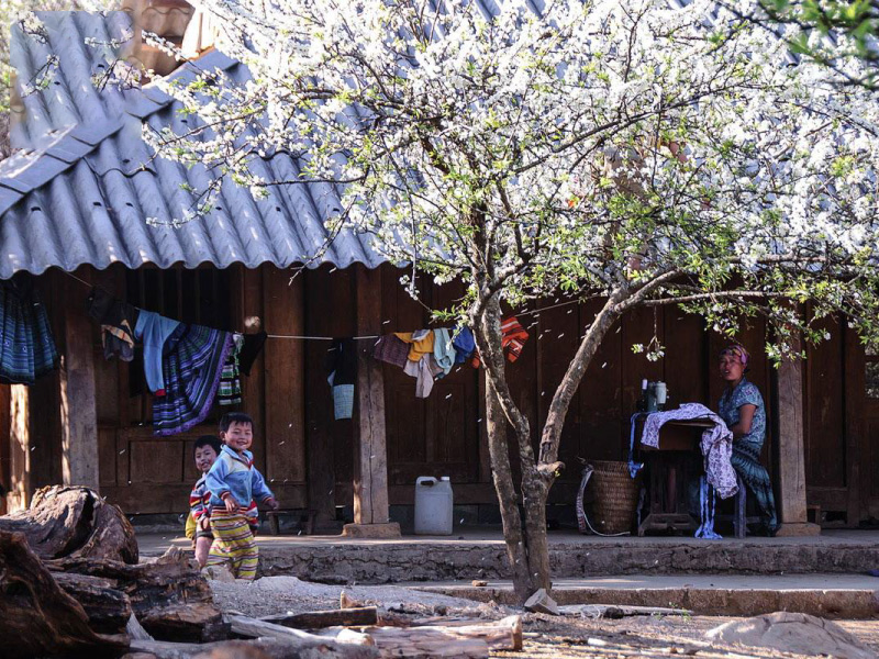 Tour du lịch Hà Giang – Đồng Văn – Lũng Cú – Bắc Quang – Sapa – Bản Cát Cát – Fansipan (5N4Đ)