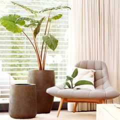 Chậu composite OAKURA (Màu giả đá Ethno Ring)