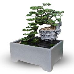 [LỌC SINH HỌC] Hồ cá non bộ composite Anber Fish - Tiểu cảnh non bộ cây Cần Thăng