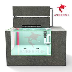 Hồ cá công nghệ composite Anber Fish 3 - Full kính siêu trong - Full ống sanking - Full vật liệu lọc