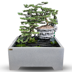 [LỌC SINH HỌC] Hồ cá non bộ composite Anber Fish - Tiểu cảnh non bộ cây Cần Thăng