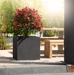 Chậu composite Anber SANTO - Màu Basalt