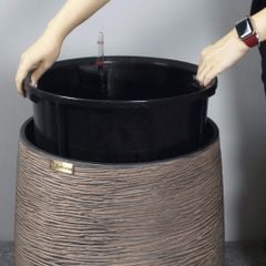 Cây Kim Ngân Phúc Lộc Thọ + Chậu composite Anber APOLLO (Sơn màu) + Tự tưới AWS