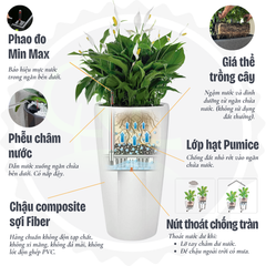 Chậu composite Anber HESTIA (Smarline) +  Tự tưới AWS