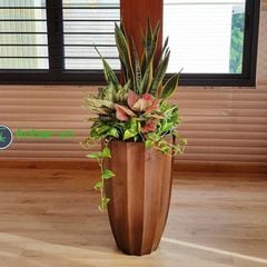 Chậu composite Anber HESTIA (Sơn màu) +  Tự tưới AWS