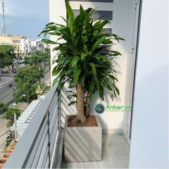 Chậu composite Anber SANTO - Warm Concrete