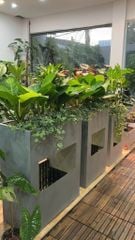 NEW Đài phun composite - thác nước phong thủy luân DEMETER (Màu giả đá Smartline)