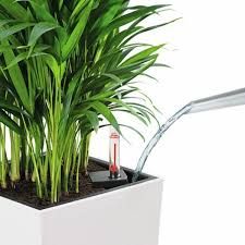 Chậu composite Anber PLUTO (Sơn Màu) + Tự tưới AWS