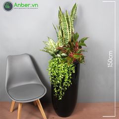 Mix cây + Chậu composite tự tưới AWS Anber 6689