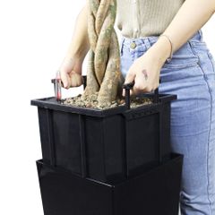 Cây Hạnh Phúc Bonsai + Chậu composite Anber LETO + Tự tưới AWS (Màu đá Ethno Lines)