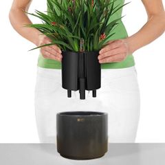 [ĐỂ BÀN] Chậu composite Anber HADES (Màu giả đá Lead) + Tự tưới AWS