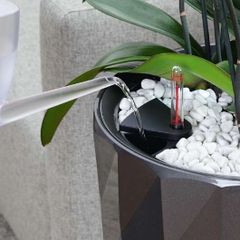 Chậu composite Anber VENUS (Naturelite Warm Concrete) + Tự tưới AWS