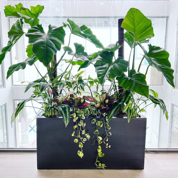 Chậu cây tự tưới aws Anber - Chậu composite cao cấp – Anber Garden ...