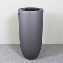 Cây kim phát tài (kim tiền) + Chậu composite tự tưới AWS Anber 6689