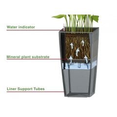 Cây Monstera + Chậu composite Anber LETO + Tự tưới AWS (Màu đá Ethno Lines)