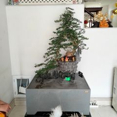 [LỌC SINH HỌC] Hồ cá non bộ composite Anber Fish - Tiểu cảnh non bộ cây Cần Thăng