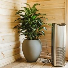 Chậu composite Anber VENUS (Smartline) + Tự tưới AWS