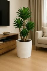 Chậu composite Anber CRONUS (Sơn màu) + Tự tưới AWS