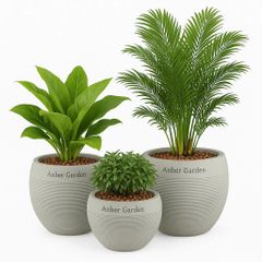 Chậu composite OLDHAM (Màu đá Nature Lite Warm Concrete)