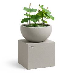Bộ chậu composite trồng sen trồng cây bonsai Anber PHANES (Smartline)