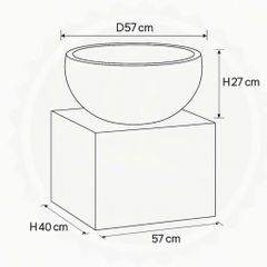 Bộ chậu composite trồng sen trồng cây bonsai Anber PHANES (Smartline)