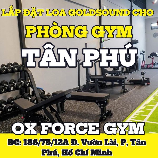 Loa Goldsound cho OxForce Gym, Tân Phú, loa được thiết kế riêng cho quán, bật lớn không tạp âm, miễn phí công lắp đặt, bảo hành dài hạn 5 năm