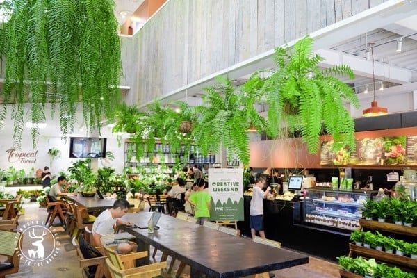 Bố trí loa cho quán cafe, bố trí loa cho nhà hàng, quán ăn, miễn phí lắp đặt