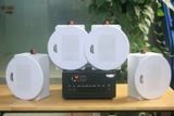[Diện tích 80m2 + 2 Kênh] A384PU-2K Goldsound 2 vùng âm lượng 380w + 4 loa âm trần Goldsound VAT38 - 38w, loa được thiết kế riêng cho quán, bật lớn không tạp âm, miễn phí công lắp đặt, bảo hành dài hạn 5 năm.