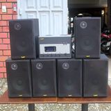 Loa vệ tinh V100 - 100w (1 loa)