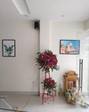 Loa Goldsound cho sữa chua trân châu,  Amply 4 - 6 vùng âm lượng, loa được thiết kế riêng cho quán, bật lớn không tạp âm, miễn phí công lắp đặt, bảo hành dài hạn 5 năm