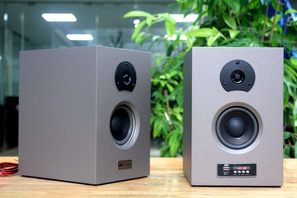 Loa HIFI W82