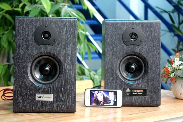 Loa HIFI W81