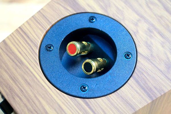 Loa vệ tinh V51C - 30w (1 chiếc)