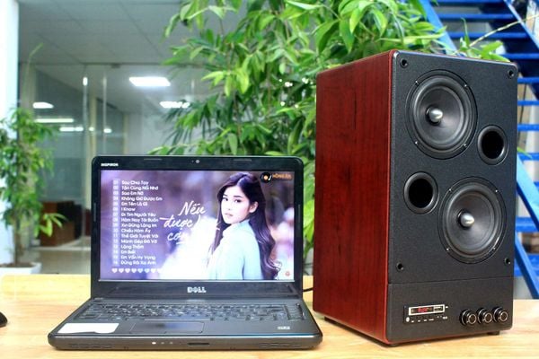 Loa đơn TOÀN DẢI W110 Bluetooth Goldsound