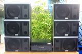 Dàn karaoke gia đình:  V950 (01 âm ly 900w +6 loa vệ tinh 130w)