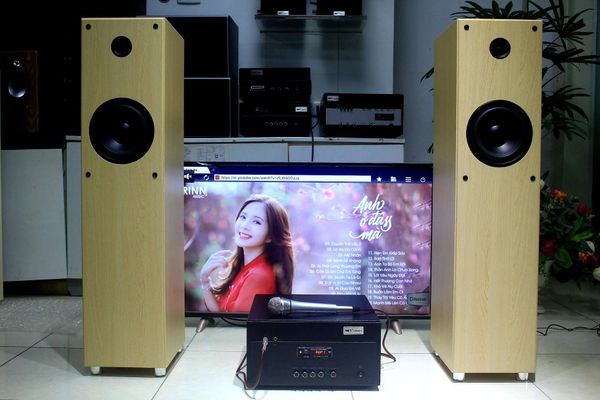 Dàn karaoke gia đình V386 Goldsound giảm max (không kèm micro)