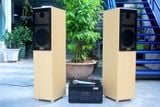 Dàn karaoke gia đình V386 Goldsound giảm max (không kèm micro)
