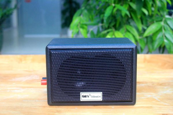 Loa treo tường V16C - 16w