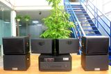 Dàn loa sân vườn: Amply A381 + 6 V25NT