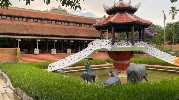 Loa Goldsound cho quán Cua Đồng Không Tên, Hà Nội, Amply 4 - 6 vùng âm lượng, loa được thiết kế riêng cho quán, bật lớn không tạp âm, miễn phí công lắp đặt, bảo hành dài hạn 5 năm
