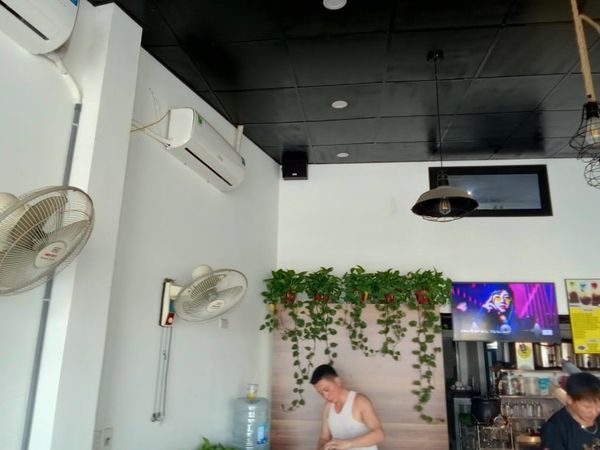 Loa trà chanh loa cafe Loa Goldsound lắp đăt âm thanh cho Juice F1