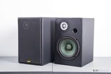 Loa vệ tinh V100 - 100w (1 loa)